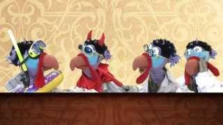 פולקע-על ארבעה תרנגולים... ערוץ מאיר