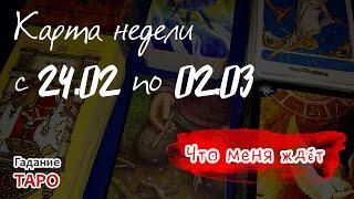 Карта недели с: 24.02 по 02.03.2025