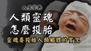 【生男生女】性向，如何決定 ?｜自然篇【人生字典】張國松 ｜投胎｜性別｜墮胎｜嬰靈