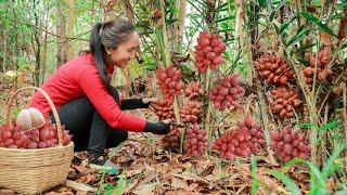 Harvest Salak and bring them to the market sell - cooking| Emma Daily Life