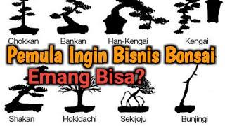 5 Steps Bonsai Business For Beginners | Number 4 is very decisive