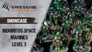 Indomitus Space Marines level 3 – Showcase