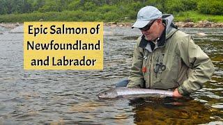 Epic Salmon of Newfoundland and Labrador