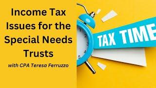 Income Tax Issues for the Special Needs Trusts