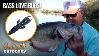 Bass Love Bugs! | Bill Dance Outdoors