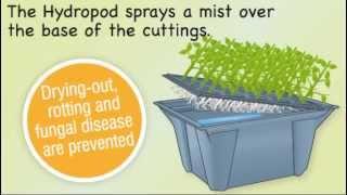 Hydropod Propagator - Grow More of Your Favourite Plants From Cuttings