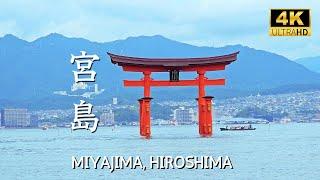 [ Hiroshima ] Giant floating Torii gate and Miyajima Island #miyajima #hiroshimatravel #japan #宮島