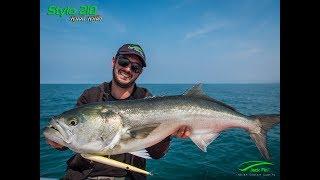 Monster Bluefish TopWater on Stylo 210 Catch and Released