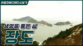 외진 곳에 자리잡은 작은 섬 장도,  풍요로운 바다, 마르지 않는 샘. #자연과 인간이 공존하는 삶. #람사르 습지