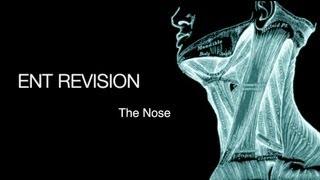 ENT Revision - The Nose