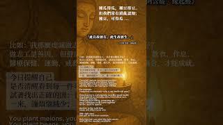 因果錯亂？！覺照正知見...#1fomind #Shorts  #Hashtag #buddha #佛教智慧 #修行之道 #佛陀 #釋迦牟尼佛 #心靈啟發 #智慧人生 #覺悟#修佛法