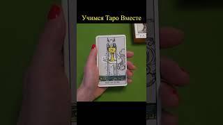 TARO vs Astrology What's the Best Choice for Self Discovery? #таро #tarot #тароонлайн #гадание