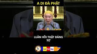 LUÂN HỒI THẬT ĐÁNG SỢ | Pháp Sư Tịnh Không | Phật Pháp Nhiệm Màu