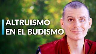 Meditación Paso a Paso | Lama Rinchen Gyaltsen [Sesión 5]