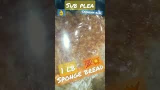 sponge bread