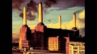 PINK FLOYD - Sheep