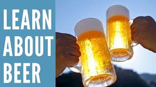 Beer Basics for Beginners/What is Pale Ale, IPA, XPA and Summer Ale/Let's Talk Drinks