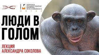 Александр Соколов. Люди в голом