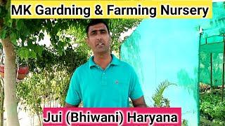 MK Gardning & Farming Nursery Jui (Bhiwani) Haryana