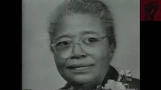 The Tuskegee Experiment (1990)