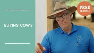 Tips on Buying Cattle | Free Session from Joel Salatin's Farm Like A Lunatic Masterclass