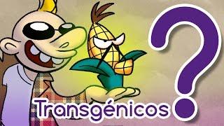 Are transgenics dangerous? - Curiosamente S3E18