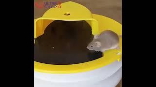 Auto Reset Flip Slide Bucket Lid Mouse/Rat Trap