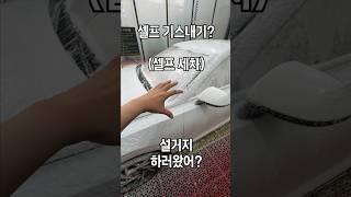 셀프세차 주의사항 (고압건 / 폼건)