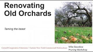 Renovating Old Orchards