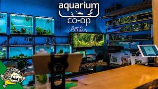 Aquarium Shop Tour And Warehouse Tour