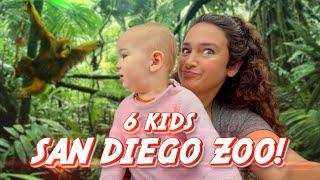 San Diego Zoo with my 6 kids: Best Family Day Out! 