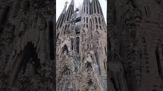 Basilika Sagrada Familia in Barcelona #shorts #barcelona #sagradafamília