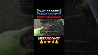 #вторсырье #чермет #топчик #находкисметаллоискателем #металлокоп