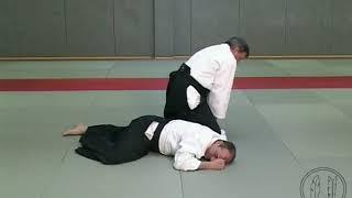 AIKIKAN BELGIUM Yonkyo demonstration by Antoine Vermeulen Sensei 7th DAN AIKIKAI -AIKIKAI FOUNDATION