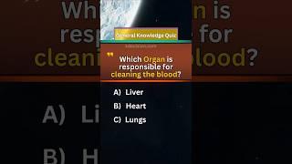Quiz Hub-Too easy?How many correct answers did you get? #trivia #quiz #gameplay #fyp #games