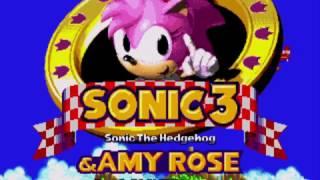 Sonic 3 & Amy Rose (Hack)