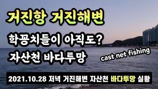 거진항 거진해변 학꽁치투망 실황,바다투망달인 원투형님 저녁 속보,cast net fishing,playpesca,메탈배스바다투망낚시 #바다투망배우기#거진항거진해변#sbs생활의달인