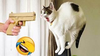 Funniest Dogs and Cats 2025|| You Laugh You Lose