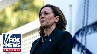 Harris campaign's latest 'desperation ploy' in final days of election