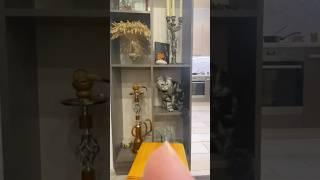 #веселыекоты #cat #youtube #shortvideo #funny #catlover