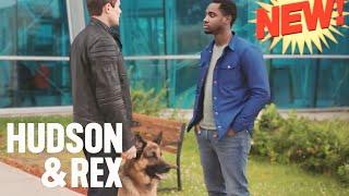 Hudson & Rex 2025 Season 7 Today New Episode ‍️ Canadian Tv Show  Popular Police And Crime Movies