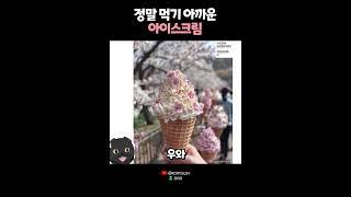 먹기 너무 아까운 아이스크림? 