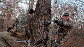 DEER Hunting- Bowhunting Pre Rut 2024!