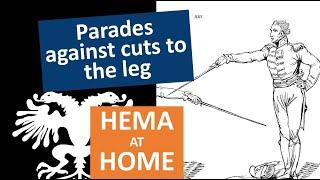 HEMA at Home - Parades against cuts to the Leg