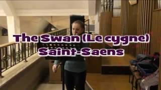 Skrzypaczka na Ślub (le cygne - saint saens)