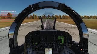 Fly 'Till We Die | AO Server | F/A-18 | DCS World