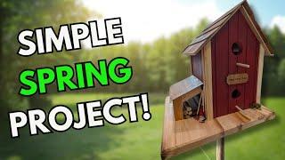 AMAZING Birdhouse Design You Can Build Easily