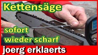 Kettensäge schärfen schnell und ganz einfach beim Einsatz Chainsaw Sharpening DIY Tutorial No. 402