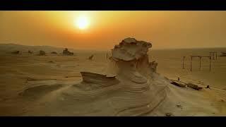 Al Wathba Fossil Dunes | Abu Dhabi UAE