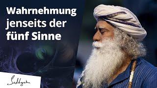 Wahrnehmung jenseits der fünf Sinne